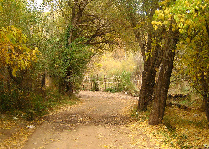 روستای طالقان